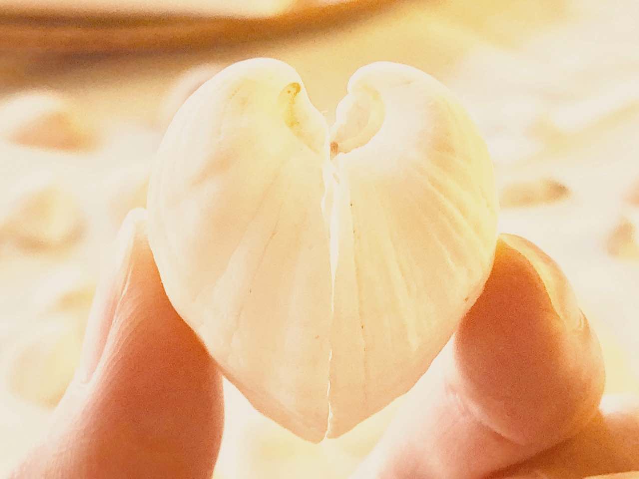 あなたの愛を信じよう